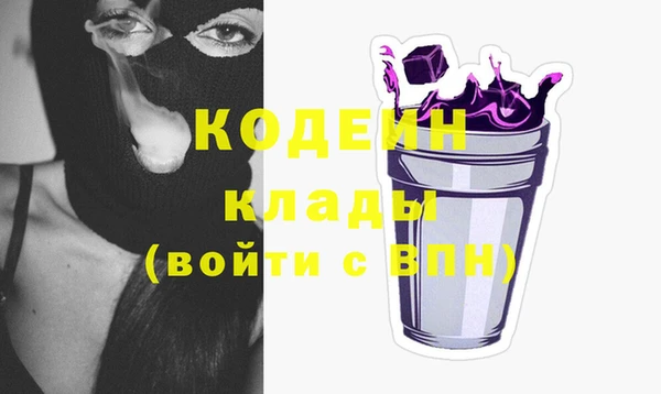 apvp Снежинск