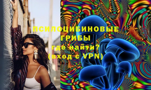 дурь Аркадак