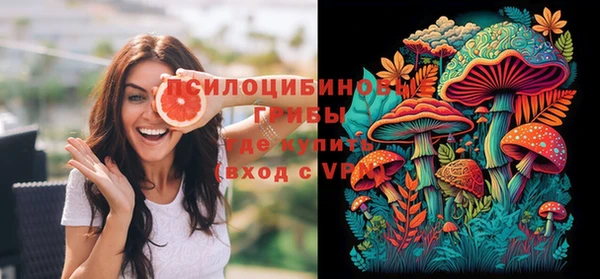 apvp Снежинск