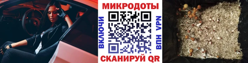 Галлюциногенные грибы ЛСД  Ладушкин 